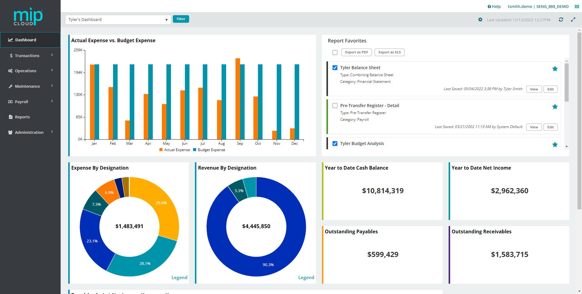 screenshot of MIP Accounting